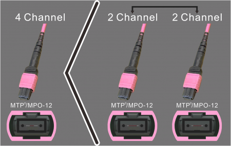 MPO-12 → 2×MPO-12 - MPO-12(4 kênh) sang 2xMPO-12(2 kênh)
